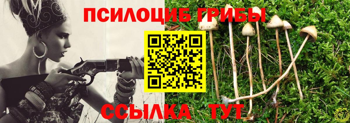 Подольск  Галлюциногенные грибы Cubensis  Вход с VPN 